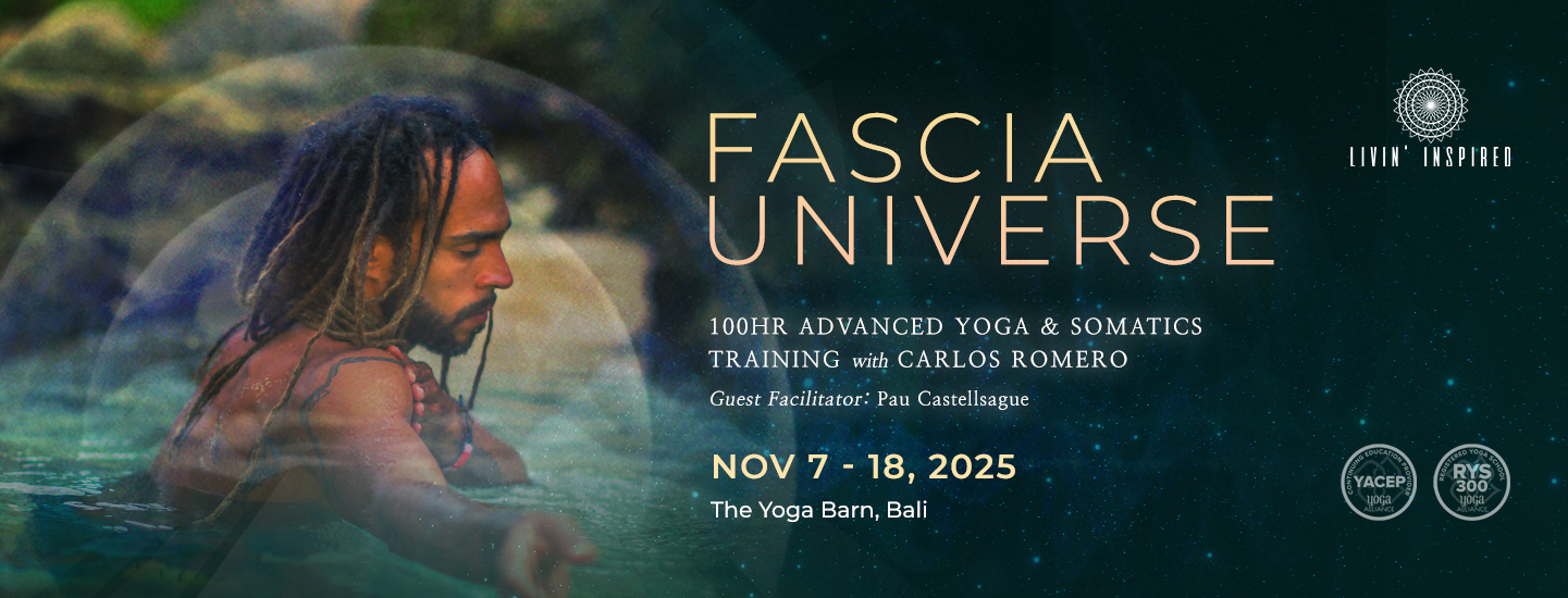 LI-Fascia-Universe-YB-Banner-Hor (1)