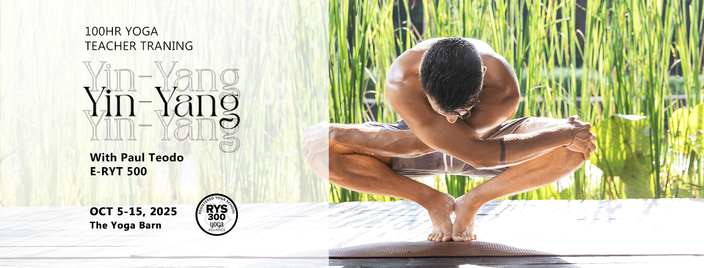 YB-100hr-YinYang-Training-OCT25_WEB-LANDSCAPE